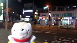 세영약국, 부산광역시 — 대한민국 부산광역시 해운대구 우1동 548-4, 전화 051-746-8453 세영약국, 부산광역시 —  대한민국... 