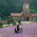포천 허브아일랜드 - Google 지도 포천 허브아일랜드 · 경기도 포천시 신북면 청신로947번길 35 KR