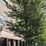 세인트폴 대학 - Google 지도 세인트폴 대학 · 235 Marshall Ave, St Paul, MN 55102 미국
