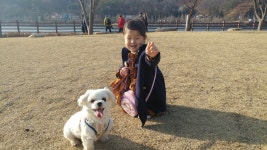 안동 안단테카페, 안동시 — 대한민국 경상북도 안동시 성곡동 석주로 안동 안단테카페, 안동시 —  대한민국 경상북도 안동시 성곡동 석주로