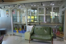 두암한방동물병원, Seul — Corea del Sur Seul 양천구 목2동 목동중앙북로 73, teléfono 02-846-4597, horario de apertura... 