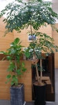 NH농협은행 태평로금융센터, Seoul — كوريا... NH농협은행 태평로금융센터, Seoul —  كوريا الجنوبية Seoul... 