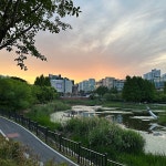 동백호수공원 중앙광장 - Google 지도 동백호수공원 중앙광장 · 경기도 용인시 동백중앙로 239 KR