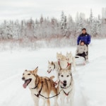 AK Sled Dog Tours - Google 지도 AK Sled Dog Tours · 13484 East Main Street HC 89 Box 8620, Talkeetna, AK 99676 미국