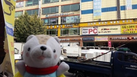 남구 주안6동 956-1, फ़ोन 032-865-8551, खुलने का समय 국민은행 석바위지점, इनचॉन... 