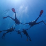 코지다이브 (COZYDIVE) - Google 지도 코지다이브 (COZYDIVE) · 제주특별자치도 서귀포시 특별자치도, 남성로128번길 1-3 KR