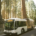 자이언트 포레스트 박물관 - Google 지도 자이언트 포레스트 박물관 · 47050 Generals Hwy, Three Rivers, CA 93271 미국