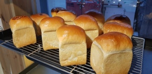 건강한빵, 서울특별시 — 대한민국 서울특별시 종로구 명륜3가동 성균관로1길 6-6, 전화 02-6494-0049 건강한빵, 서울특별시... 