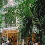 펀 포레스트 카페 - Google 지도 펀 포레스트 카페 · 54, 1 Singharat Rd, Si Phum, Mueang Chiang Mai District, Chiang Mai 50200 태국
