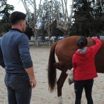 Ifoa Grand Paris - School Osteopathy Animal - Google 지도 Ifoa Grand Paris - School Osteopathy Animal · 27 Rue Albert Einstein... 