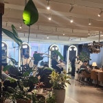 JUNO Hair Garden Gangnam Branch - Google 지도 JUNO Hair Garden Gangnam Branch · 서울특별시 서초구 서초대로77길 27 3층