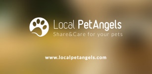 Local Pet Angels - Latest version 2.1 for Android App Social