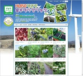  대관령블루베리농장 하스카프 명이나물 산마늘 하니베리 스마트한 앱포털 - 팟게이트