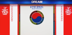 박범진용인대 드림태권도 - Latest version 5.3.1 for Android App Education