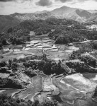 Jack Birns — Google Arts & Culture Jack Birns - Google Arts & Culture