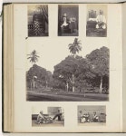 Dierentuin, portretten en beroepen - Woodbury & Page — Google Arts & Culture Dierentuin, portretten en beroepen - Woodbury... 
