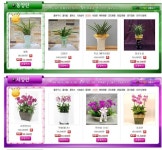  창원플라워,꽃배달,꽃집,전국꽃배달 스마트한 앱포털 - 팟게이트