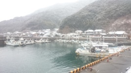 Google マップ 「民宿 こんぴら」に関する Google でのクチコミ（投稿者: いーすー）