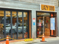 레이지독 LAZY DOG, 진주시 — 진주시, 진주대로908번길 17-6 1층 레이지독 LAZY DOG, 진주시 —  진주시, 진주대로908번길 17-6 1층