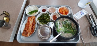 신안동돼지국밥, 진주시 — 진주시, 신안동 23-5 신안동돼지국밥, 진주시 —  진주시, 신안동 23-5