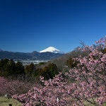 Google 지도 Oi Yume-no-Sato Park · 274 Yanagi, Oi, Ashigarakami District, Kanagawa 258-0015 일본