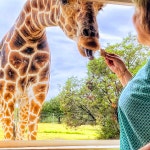 Google 지도 텍사스 사파리 랜치 · 192 Private Rd 4293, Clifton, TX 76634 미국