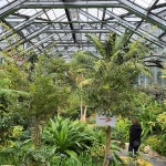 완도수목원 - Google 지도 완도수목원 · 전라남도 완도군 Donggo, 마량4길 217