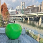 4/2~4/17 오사카/도쿄 여행기 - 3 - 일본여행 - 관동이외 마이너 갤러리