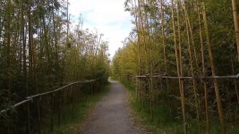  Google 지도  Google에서 제공되는 녹색걷기님의 강서낙동강변30리 벚꽃길 관련 리뷰