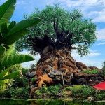 Google 지도 디즈니스 애니멀 킹덤 띰 파크 · Bay Lake, FL 34747 미국