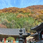 장춘사 - Google 지도 장춘사 · 경상남도 함안군 칠북면 북원로 110-1