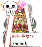  에스더플라워-익산꽃배달,익산화환,전주꽃배달, 군산꽃배달 스마트한 앱포털 - 팟게이트