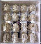 A light skeletons - 권정호 및 kwonjungho — Google Arts & Culture A light skeletons - 권정호 및 kwonjungho - Google Arts & Culture