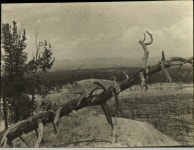 Amer(Usa) Utah-Bryce Canyon And Zion — Google Arts & Culture Amer(Usa) Utah-Bryce Canyon And Zion - Google Arts & Culture