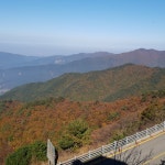 덴바스타 센트럴 호텔 서면, 부산 (2025년 최신 요금) 덴바스타 센트럴 호텔 서면, 부산, 대한민국