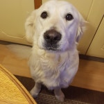 Els 10 millors hotels de Stahovica, Eslovènia | Des de € 80 19 hotels a Stahovica, Eslovènia.