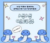 도서관 카드뉴스 : 수지도서관 수지도서관