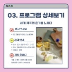 도서관 카드뉴스 : 보라도서관 보라도서관