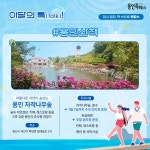 사서북큐레이션 : 수지도서관 수지도서관