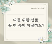 사서북큐레이션 : 수지도서관 수지도서관