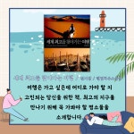 대구광역시립 두류도서관 > 자료검색 > 온라인 북큐레이션 대구광역시립 두류도서관