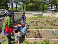 견학사진 : 못골한옥어린이도서관(자곡동) 못골한옥어린이도서관(자곡동)
