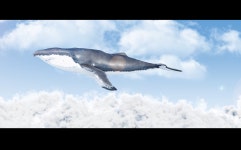 미디어 전시 : 개포하늘꿈도서관(개포3동) 개포하늘꿈도서관(개포3동)