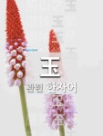 瑕玉(하옥)의 뜻과 관련 한자어