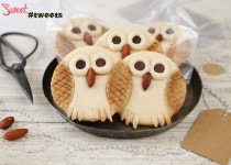 Owl-shaped Food list Owl-shaped Food