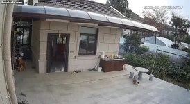 훌쩍훌쩍 단또 폭💥사 - 싱글벙글 지구촌 마이너 갤러리