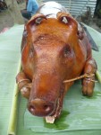 Lechon Baboy - 5 - | This is how you prepare a roasted pig i… | Flickr Lechon Baboy - 5 -