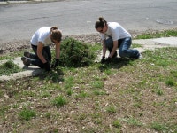 IMG_5947 | Humanist Chaplaincy at Harvard | Flickr IMG_5947