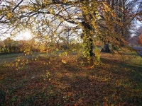 Flickriver: auroradawn61s photos tagged with fall