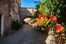 Flowery Europe | SkyscraperCity Forum Flowery Europe